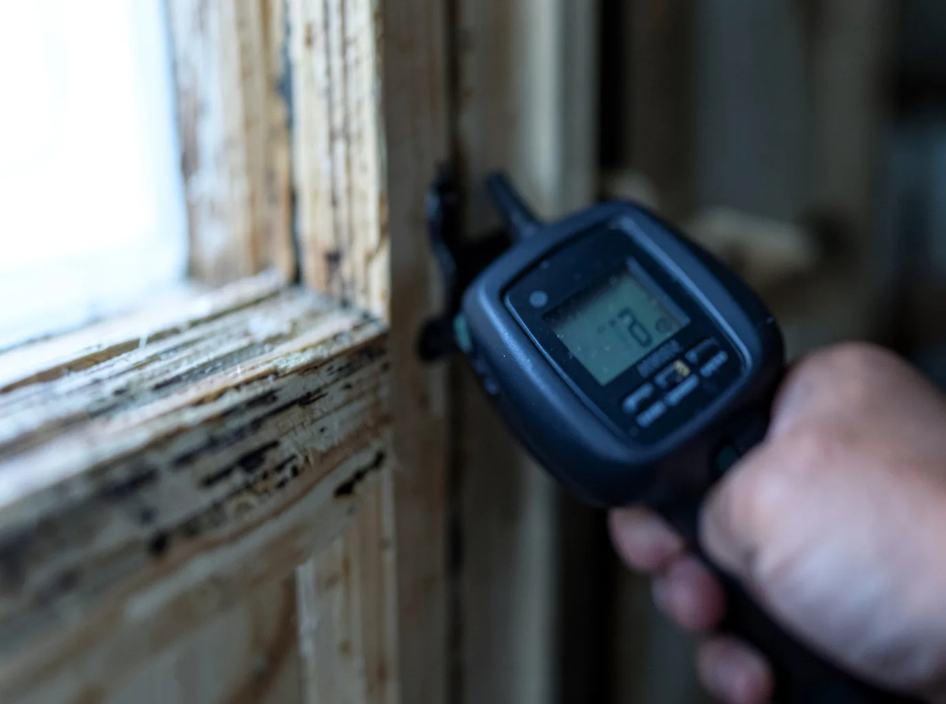 Commercial Water Damage Restoration in Gallina, NM